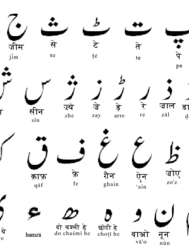 Why The Urdu Script Is Crucial For India’s Cultural Diversity ...