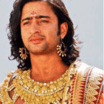 shaheer sheikh the role of mahabharat shaheer sheikh