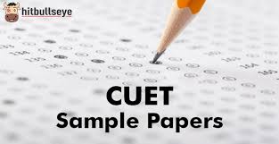 How To Use CUET Sample Papers in Common University Entrance Test Preparation 2024