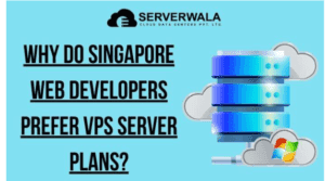 Why Do Singapore Web Developers Prefer VPS Server Plans?
