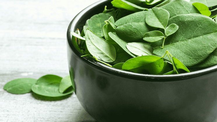 The Unbelievable Benefits Of Moringa For Skin