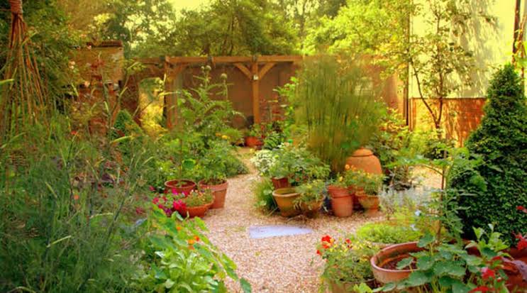 What Plants Will Survive in Your Garden?‍