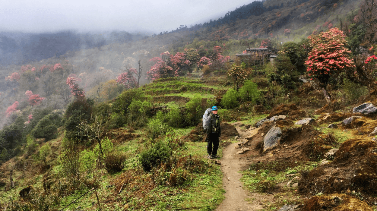 Best Treks in Nepal